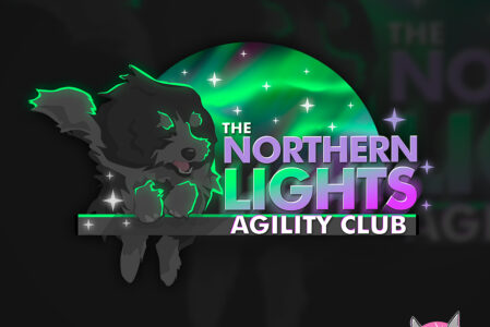 Northern Lights Agility logo design